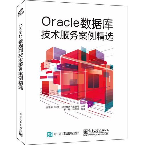oracle数据库技术服务案例精选麦思博